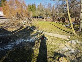 Nabízím štípání dřeva a kácení stromů