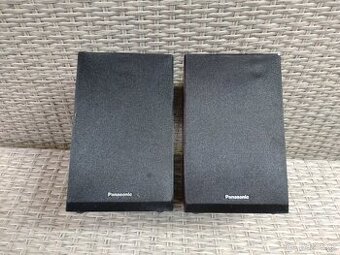 Panasonic - 2x repro