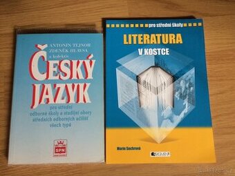 Literatura v kostce Marie Sochrová,Český jazyk Tejnor