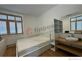 Pronájem bytu 1+kk 17m2  v žádané lokalitě Štýřice, Brno - s - 1
