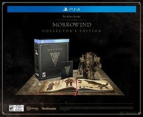 PS4 THE ELDER SCROLLS ONLINE: Morrowind