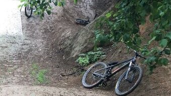 CTM Dirtking