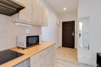 Pronájem bytu 1+1, 32 m² + terasa 15 m² + sklep 6 m², Praha 