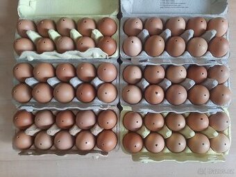 vajíčka vyfouknutá, vyfouklá, výdutek, kraslice