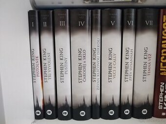 Stephen King - Temná věž
