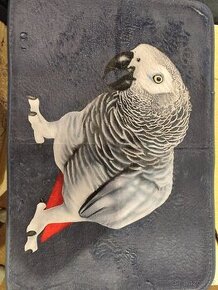 Papoušci papoušek korela andulka žako