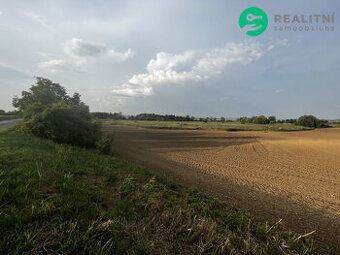 Prodej pole v Pavlově - 1