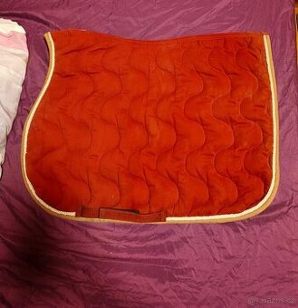 Uzdečky,helma a další věci