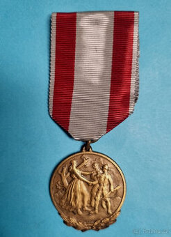 Pamětní medaile 1. revoluční pluk NSG Praha