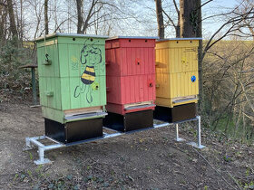 Varroa Termo podstavec pre včely