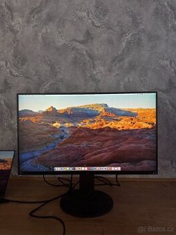 Profesionální monitor Eizo EV2780