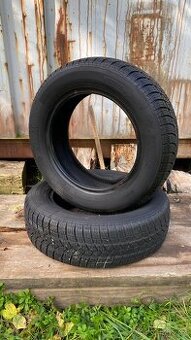 Zimní gumy 175/65 R14 82T Riken Snowtime b2 2ks