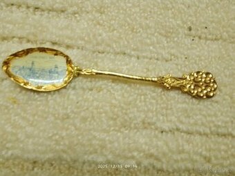 Prodám paměťní lžičku