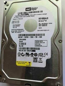 HDD WD 160GB 3,5"