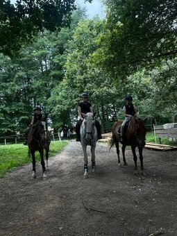 Koňský příměstský tábor – léto plné zážitků 🐴🌿