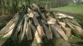 Prodám tvrdé dřevo na topení