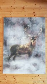 Obraz jelena - 75 x 100 cm