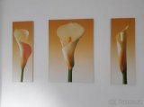 Triptych obrazů "Kala"