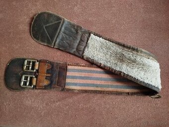 Podbřišník australský