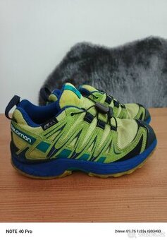 Salomon 31 - 1