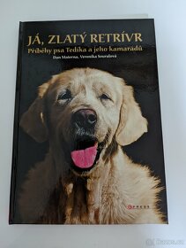 Já, zlatý retrívr, Objevy pod vrstvami času - 1