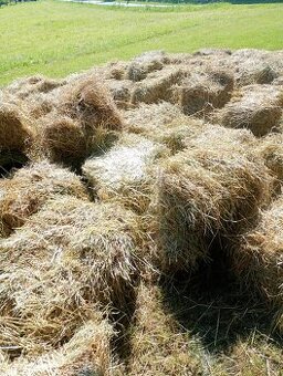 Malé balíky letošního sena