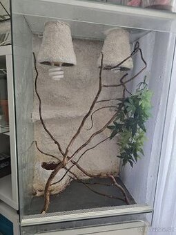 Terárium
