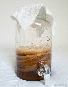Kombucha, násada s čajovou houbou. VR a TU. Balíkovna 83Kč.