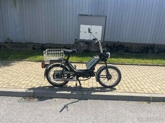 babeta 210