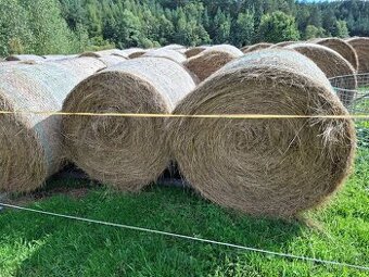 Seno, balíky