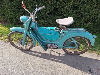 Jawetta 551