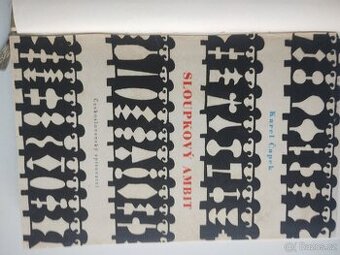 Karel Čapek, Sloupkový ambit