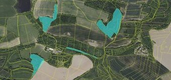 Prodám pozemky v katastrálním území Neštětice