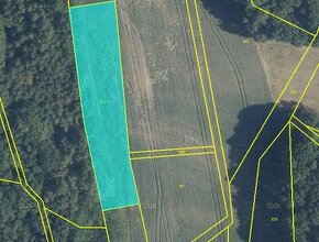 Krásný pozemek u Trnobran, u Litoměřic; louka u lesa