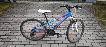 Autor Superior 24" kolo