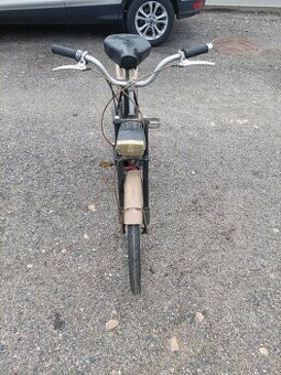 BABETTA 228