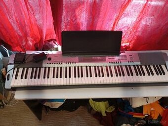 Casio 230R