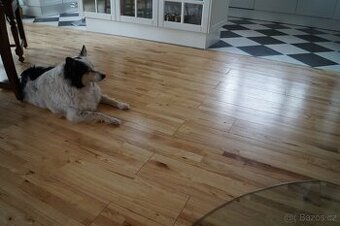 Celomasivní dřevěná podlaha HEVEA - 699,- Kč/ m2 