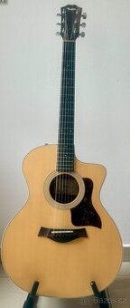 Kytara Taylor - 1