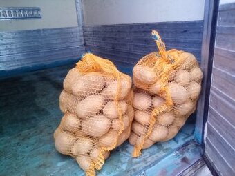 Brambory na zimní uskladneni-gala - 1