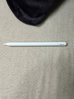 Apple Pencil USB C