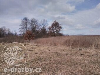 Pozemky o výměře 4609 m2, k.ú. a obci Janovice nad Úhlavou,  - 1