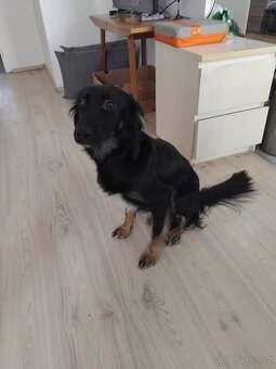 Daruji 8 mesicni stene
