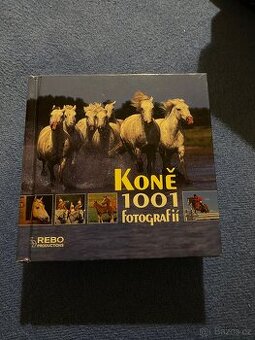 Kniha koně