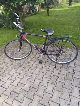 Pánské trekingové kolo Diamond Back