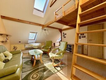 Pronájem byty 2+kk, 60 m2 - Velké Opatovice, ev.č. N08087 - 1