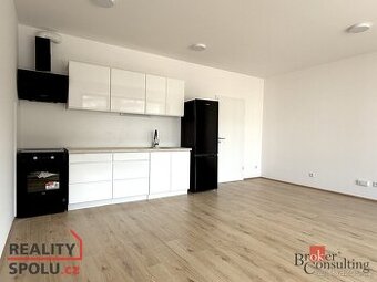 Pronájem, byty/1+kk, 47 m2, Železná, Jižní Předměstí, Plzeň