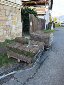 Travnikovy koberec 23m2