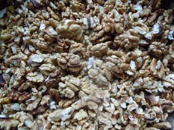 Ořechy vlašské, letošní 1,5 kg