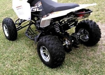 NA ČTYŘKOLKU ATV QUAD - DOKLADY SHINERAY BASHAN... -TP+SPZ